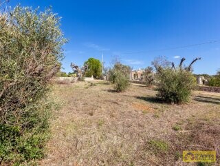 foto immobile Villa Panoramica, con pajara e vista mare, a Pescoluse n. 30