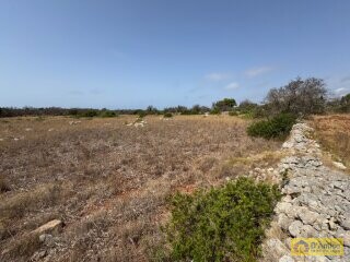 foto immobile Terreno con progetto per Villa con Volte a Stella e Piscina n. 10