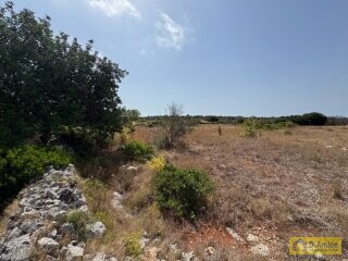 foto immobile Terreno con progetto per Villa con Volte a Stella e Piscina n. 11