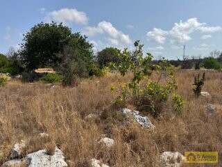 foto immobile Terreno con progetto per Villa con Volte a Stella e Piscina n. 12