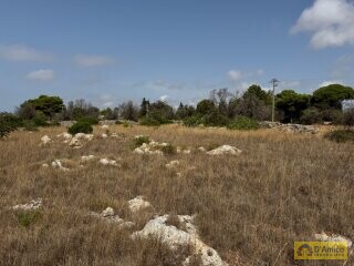 foto immobile Terreno con progetto per Villa con Volte a Stella e Piscina n. 13