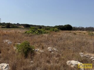 foto immobile Terreno con progetto per Villa con Volte a Stella e Piscina n. 14