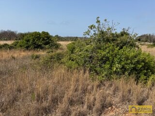 foto immobile Terreno con progetto per Villa con Volte a Stella e Piscina n. 15
