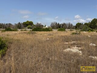 foto immobile Terreno con progetto per Villa con Volte a Stella e Piscina n. 16