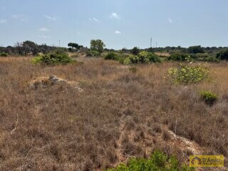 foto immobile Terreno con progetto per Villa con Volte a Stella e Piscina n. 17