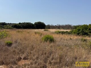 foto immobile Terreno con progetto per Villa con Volte a Stella e Piscina n. 18