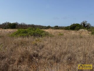 foto immobile Terreno con progetto per Villa con Volte a Stella e Piscina n. 19