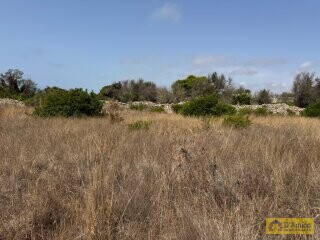 foto immobile Terreno con progetto per Villa con Volte a Stella e Piscina n. 20