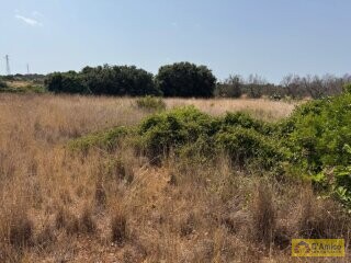 foto immobile Terreno con progetto per Villa con Volte a Stella e Piscina n. 21
