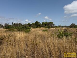 foto immobile Terreno con progetto per Villa con Volte a Stella e Piscina n. 22