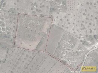 foto immobile Terreno con progetto per Villa con Volte a Stella e Piscina n. 25