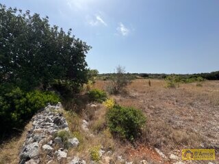 foto immobile Terreno con progetto per Villa con Volte a Stella e Piscina n. 9