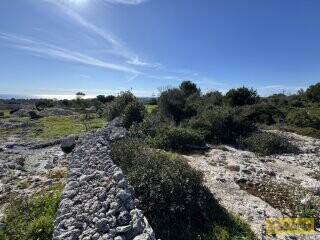 foto immobile Terreno panoramico con progetto per Villa con piscina a Santa Maria di Leuca n. 7