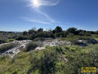 foto immobile Terreno panoramico con progetto per Villa con piscina a Santa Maria di Leuca n. 8