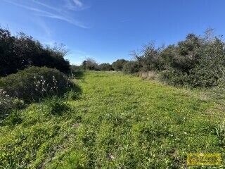 foto immobile Terreno panoramico con progetto per Villa con piscina a Santa Maria di Leuca n. 10