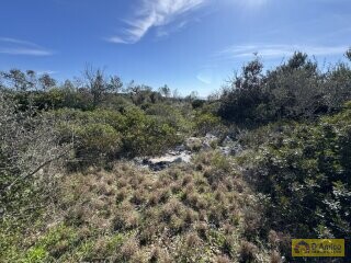 foto immobile Terreno panoramico con progetto per Villa con piscina a Santa Maria di Leuca n. 11