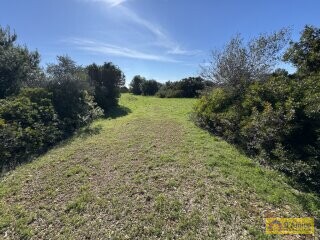 foto immobile Terreno panoramico con progetto per Villa con piscina a Santa Maria di Leuca n. 12