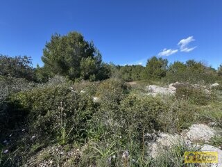foto immobile Terreno panoramico con progetto per Villa con piscina a Santa Maria di Leuca n. 14