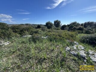 foto immobile Terreno panoramico con progetto per Villa con piscina a Santa Maria di Leuca n. 15