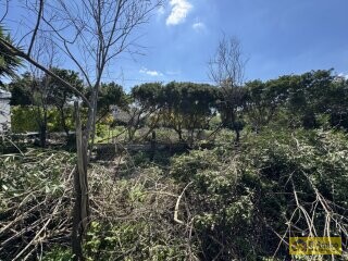 foto immobile Villa fronte mare a Torre Vado, con Pajara e possibilità di Piscina n. 28