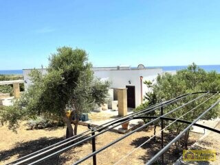 foto immobile Villa con Vista mare mozzafiato sulle spiagge di Pescoluse, nel Salento n. 2