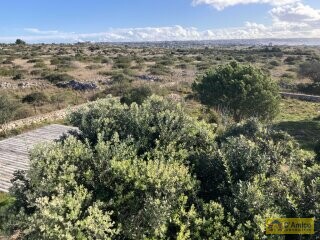 foto immobile Villa con Vista mare mozzafiato sulle spiagge di Pescoluse, nel Salento n. 31