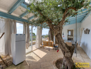 foto immobile Raffinata Villa Vista Mare con Dependance e Giardino Mediterraneo n. 12