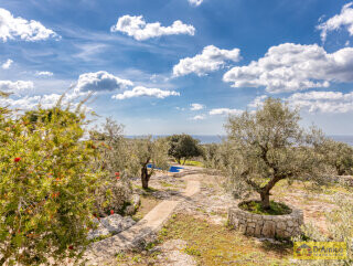 foto immobile Raffinata Villa Vista Mare con Dependance e Giardino Mediterraneo n. 42
