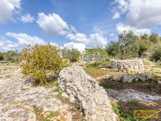 foto immobile Raffinata Villa Vista Mare con Dependance e Giardino Mediterraneo n. 43