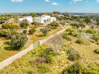 foto immobile Raffinata Villa Vista Mare con Dependance e Giardino Mediterraneo n. 44