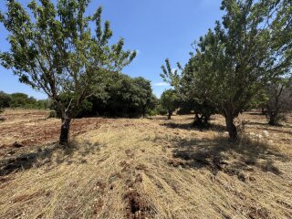 Building plot for a stunning Villa with a Swimming Pool in Carovigno