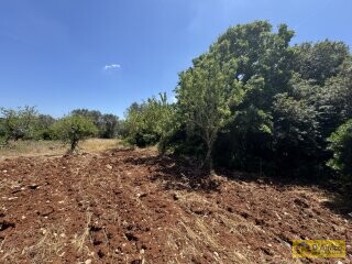 foto immobile Lussuosa Villa con Piscina, chiavi in mano, a Carovigno (BR) n. 15
