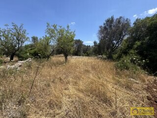 foto immobile Lussuosa Villa con Piscina, chiavi in mano, a Carovigno (BR) n. 16