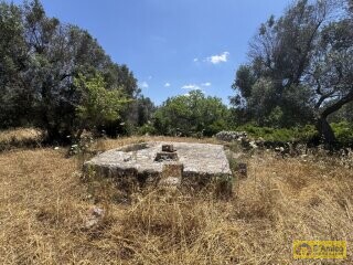 foto immobile Lussuosa Villa con Piscina, chiavi in mano, a Carovigno (BR) n. 17