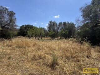 foto immobile Lussuosa Villa con Piscina, chiavi in mano, a Carovigno (BR) n. 18
