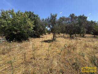 foto immobile Lussuosa Villa con Piscina, chiavi in mano, a Carovigno (BR) n. 19