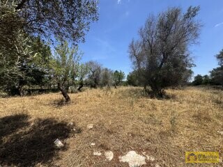 foto immobile Lussuosa Villa con Piscina, chiavi in mano, a Carovigno (BR) n. 21