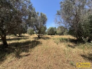 foto immobile Lussuosa Villa con Piscina, chiavi in mano, a Carovigno (BR) n. 23