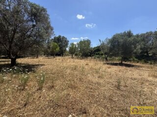 foto immobile Lussuosa Villa con Piscina, chiavi in mano, a Carovigno (BR) n. 25