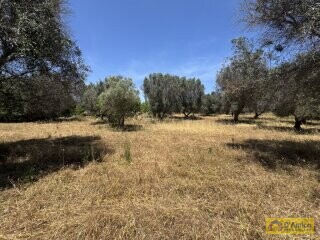 foto immobile Lussuosa Villa con Piscina, chiavi in mano, a Carovigno (BR) n. 27