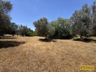 foto immobile Lussuosa Villa con Piscina, chiavi in mano, a Carovigno (BR) n. 29