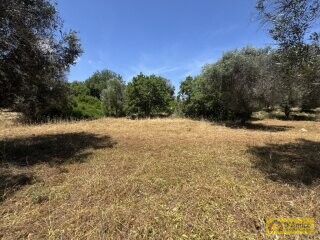 foto immobile Lussuosa Villa con Piscina, chiavi in mano, a Carovigno (BR) n. 30
