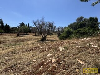 foto immobile Lussuosa Villa con Piscina, chiavi in mano, a Carovigno (BR) n. 21