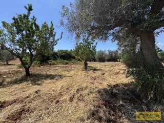 foto immobile Lussuosa Villa con Piscina, chiavi in mano, a Carovigno (BR) n. 25