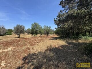 foto immobile Lussuosa Villa con Piscina, chiavi in mano, a Carovigno (BR) n. 27
