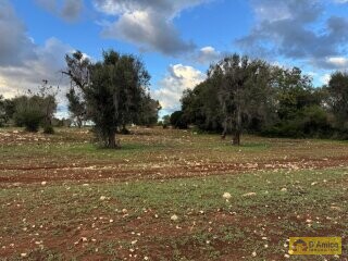 foto immobile Lussuosa Villa con Piscina, con progetto in itinere, a Carovigno (BR) n. 14