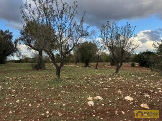 foto immobile Lussuosa Villa con Piscina, con progetto in itinere, a Carovigno (BR) n. 16