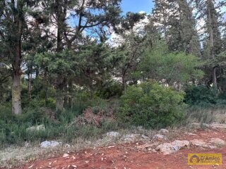 foto immobile Lussuosa Villa con Piscina, con progetto in itinere, a Carovigno (BR) n. 24