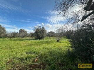 foto immobile Elegante Villa con Piscina di nuova costruzione a pochi minuti da Ostuni  n. 7