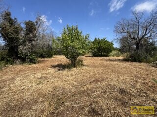 foto immobile Terreno con progetto per Villa a Volte Tipiche con Piscina, a 5 minuti dal mare n. 16